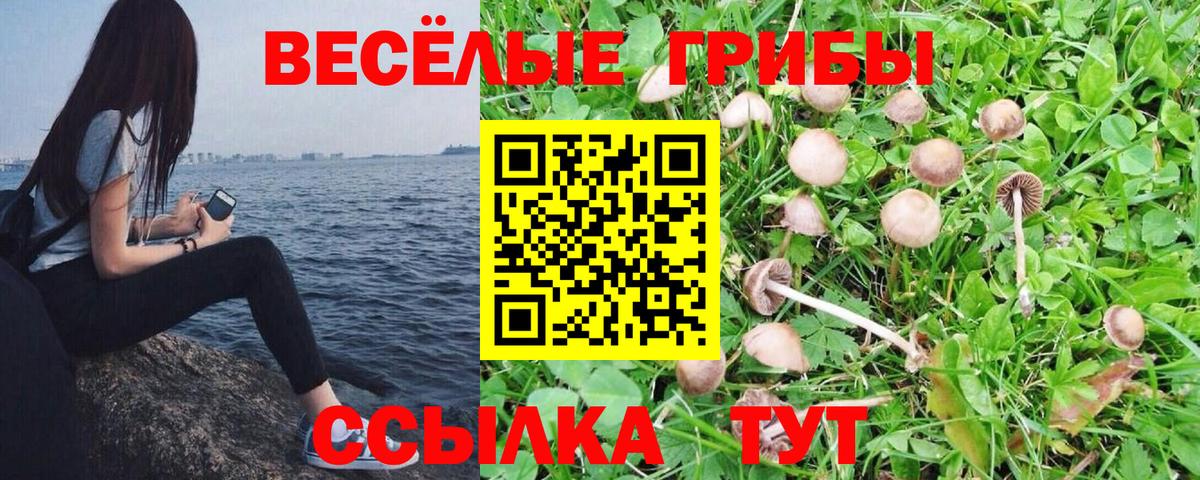 Якутск  Галлюциногенные грибы Psilocybine cubensis  Вход с VPN 